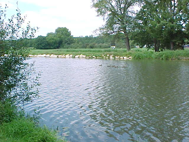 422 - LE CANAL SE MARIANT AVEC LA VERDURE.jpg